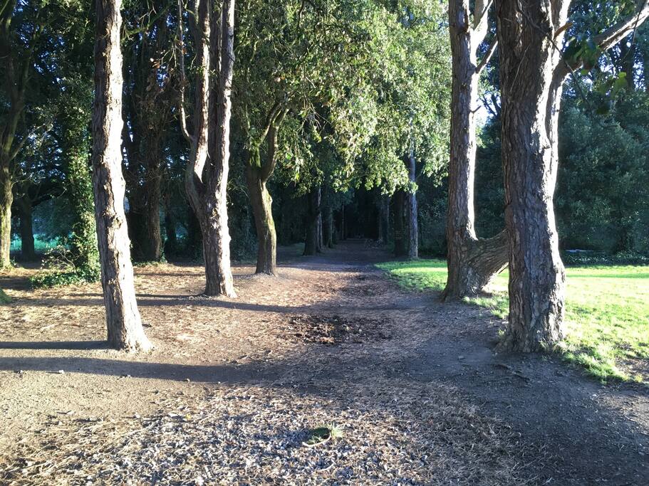 a nice walk in the park near by