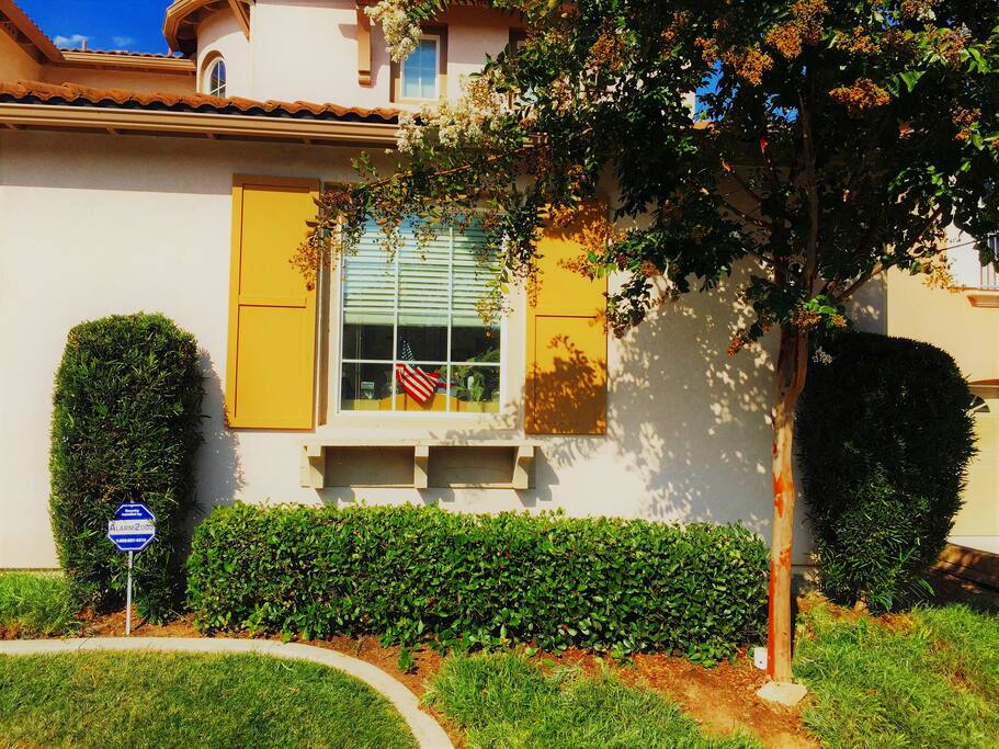 Front Yard