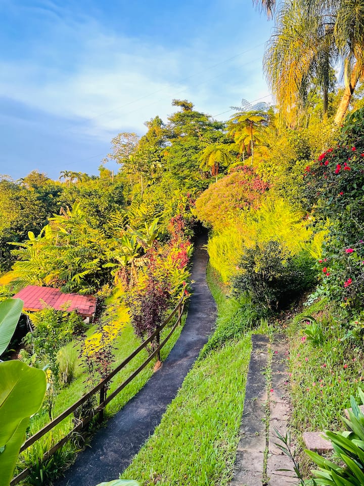 Enjoy The Best Temperature In Puerto Rico - Puerto Rico