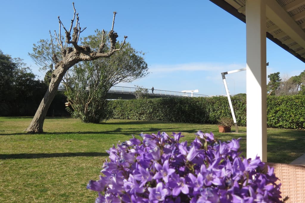 Giardino