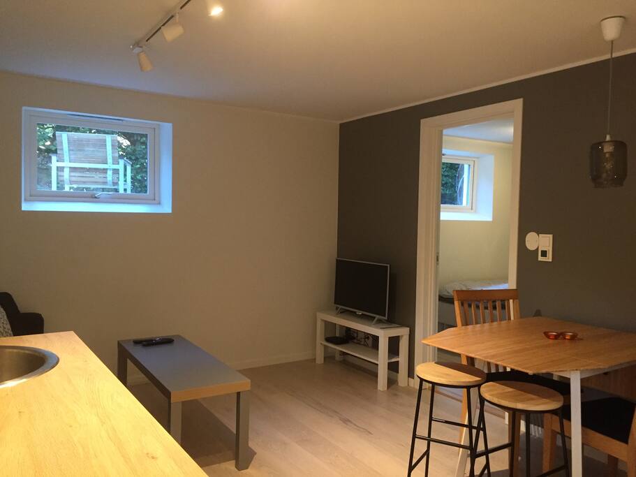 Dining table and TV