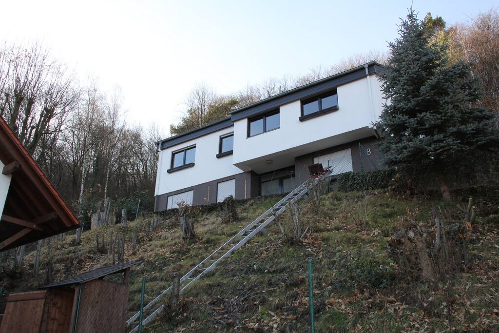 The "ladder" leading to the house is a power lift for luggage or groceries.