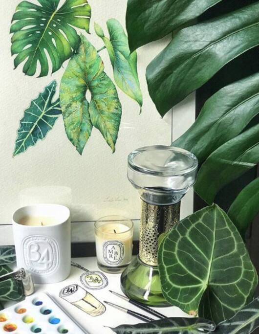 Living room companions