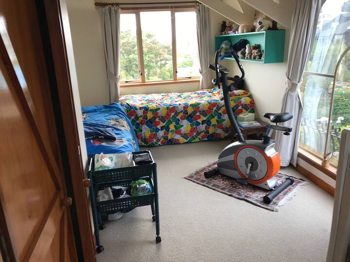 带两张单人床和一张木质婴儿床的儿童房