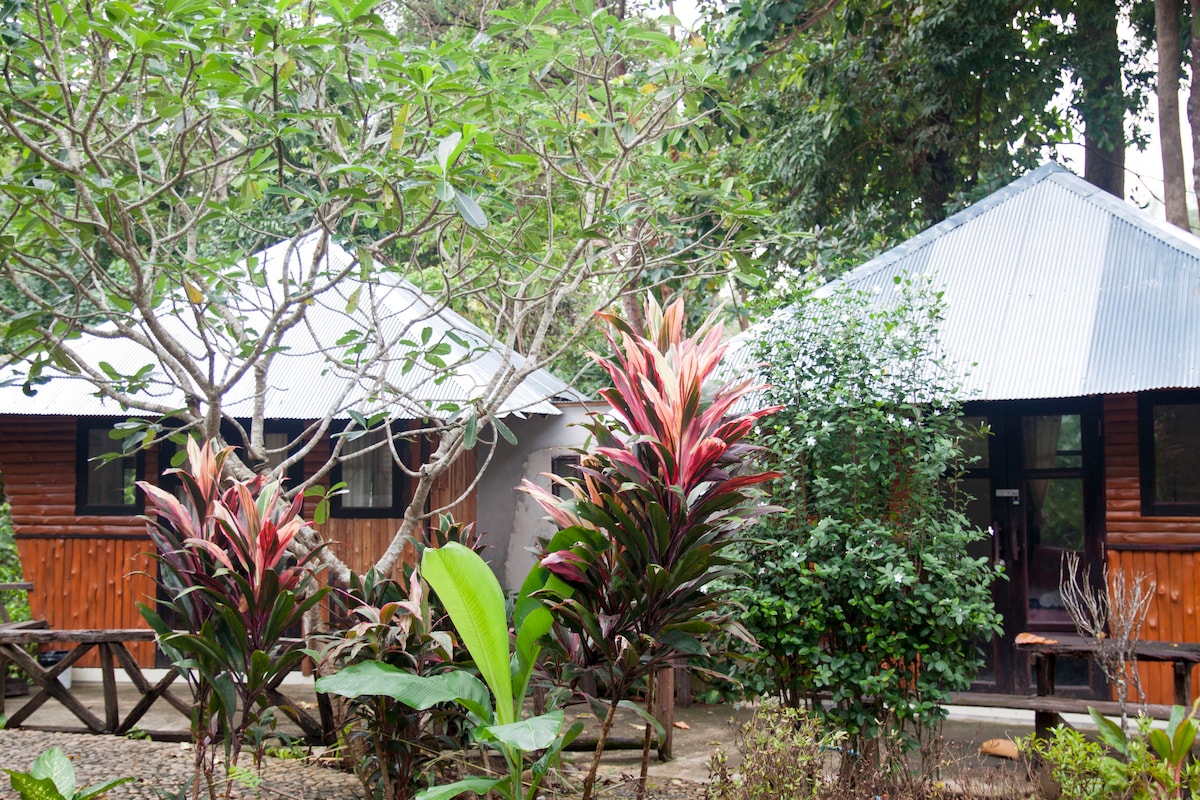 Two rustic bungalows are nestled among lush greenery, with colorful tropical plants in the foreground. The bungalows feature corrugated metal roofs and wooden exteriors, surrounded by a stone pathway that invites exploration of the natural setting.