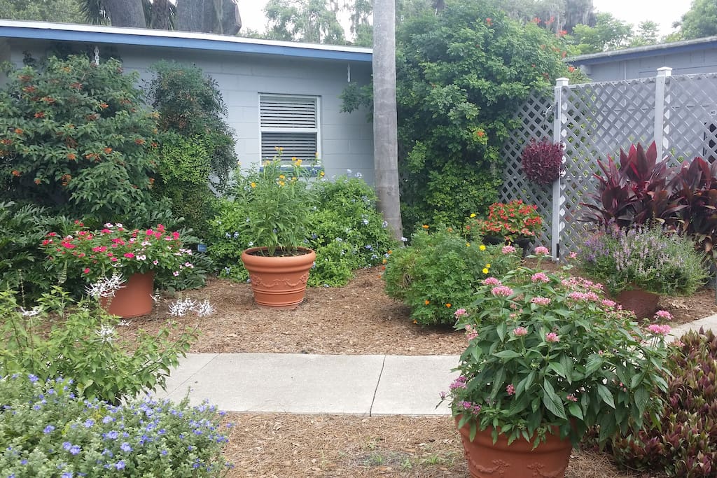 Hummingbird Garden-Adjacent to the Cottage