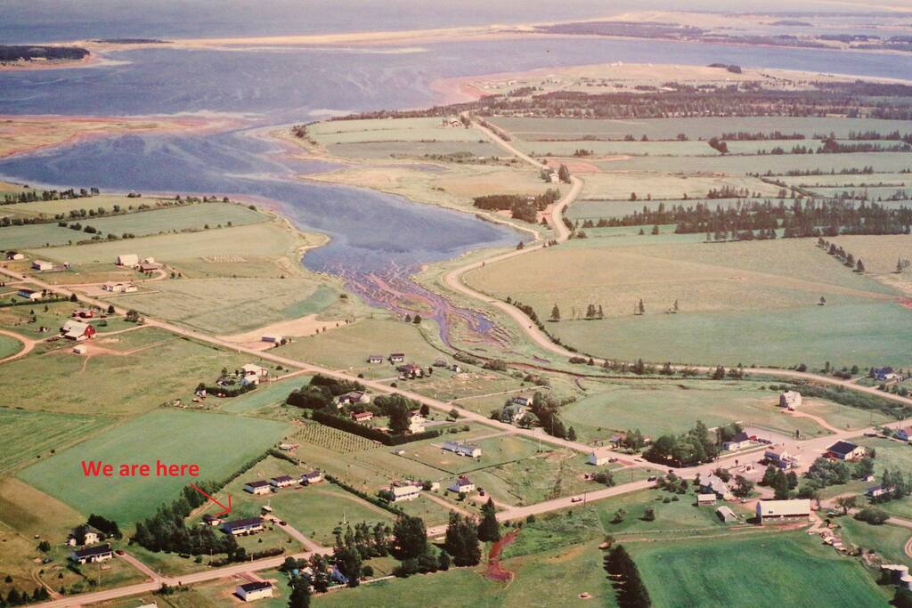 Aerial view of our location.