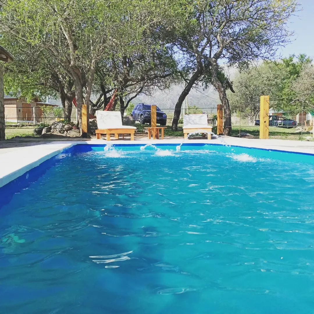 A clear swimming pool is surrounded by lush greenery and set against a tranquil backdrop. Wooden lounge chairs are positioned near the water's edge, inviting relaxation. The gentle ripples on the surface reflect the sunlight filtering through the trees.