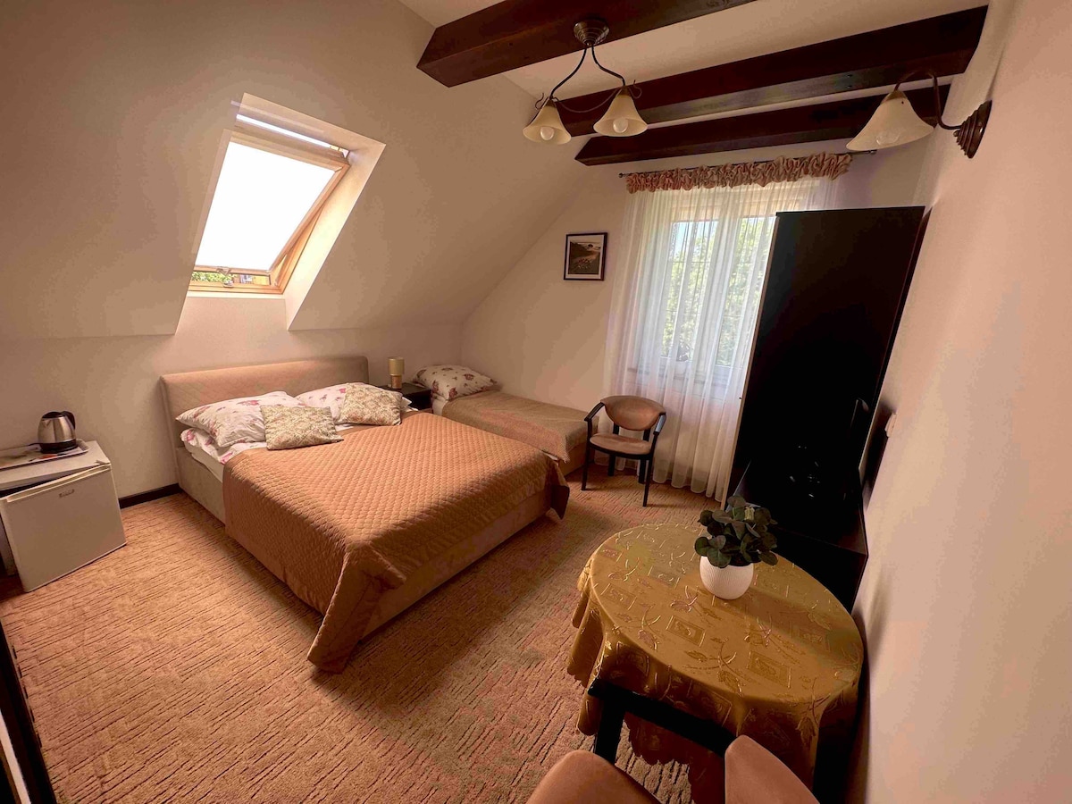 A bright, airy room features a spacious bed and a twin bed, with natural light filtering through a skylight and window draped in light curtains. A table with a decorative cloth and a potted plant complements the space, alongside a wardrobe and a small refrigerator.