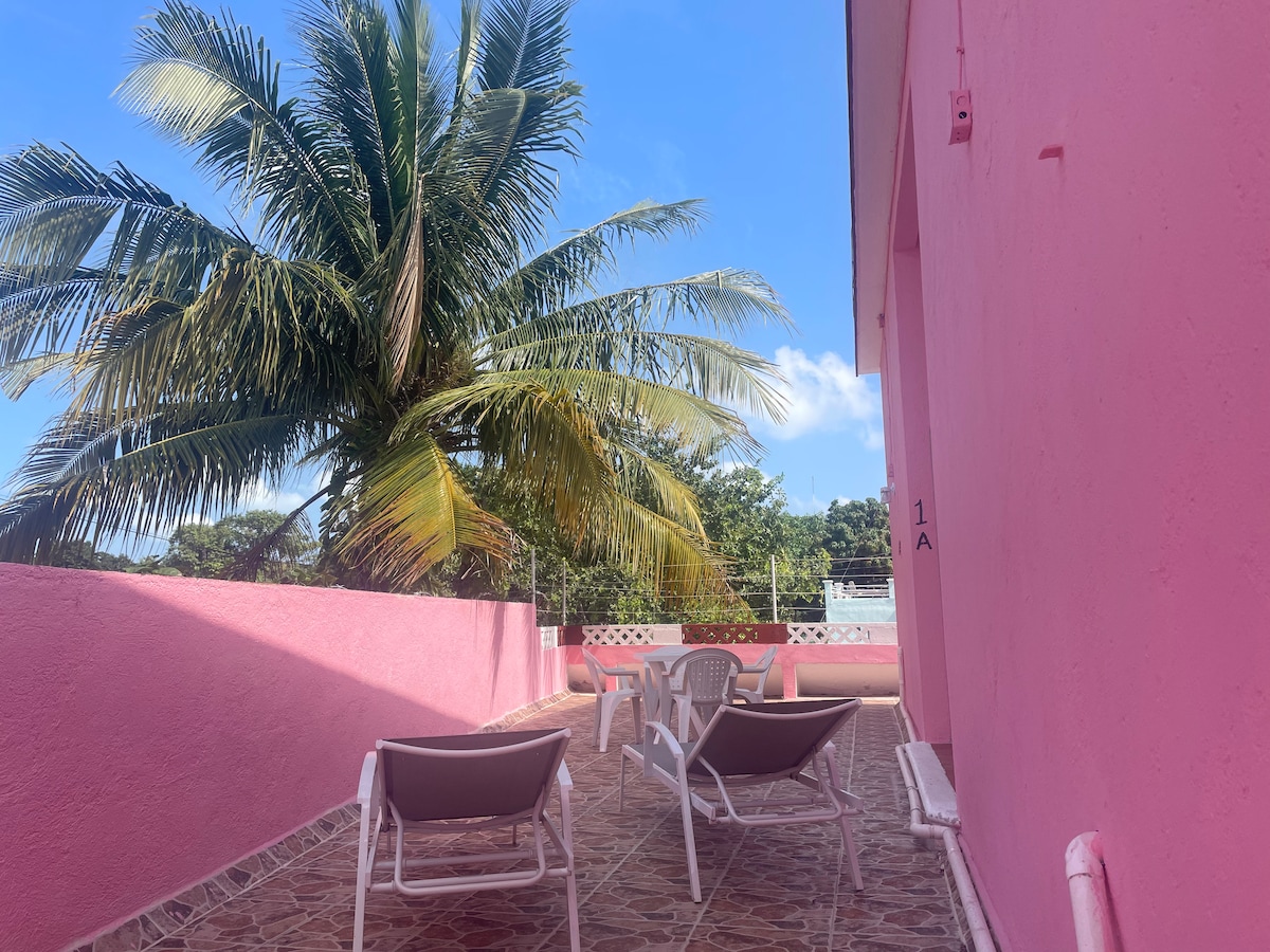 A sunlit terrace is adorned with two lounge chairs, inviting relaxation under the shade of a tall palm tree. The space features pink walls and patterned tile flooring, with greenery visible in the background and a clear blue sky overhead.