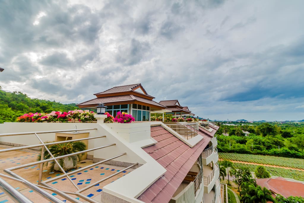 The roof top pool with sea view