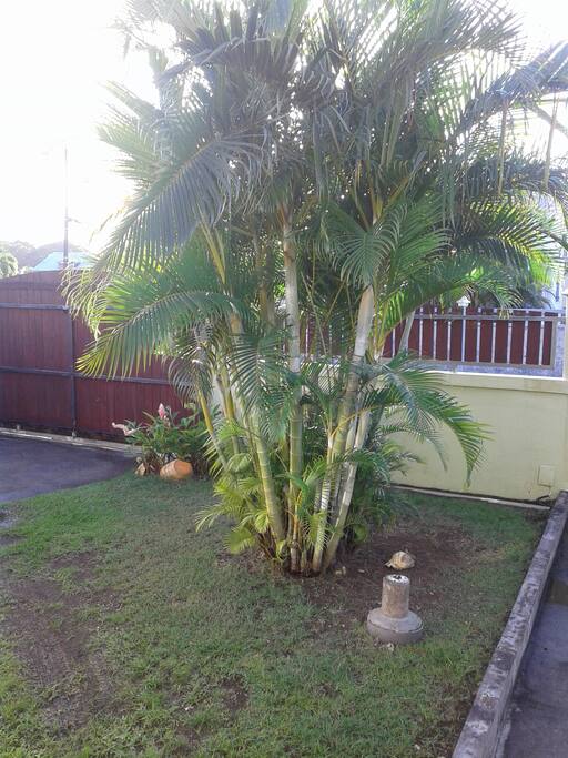 jardin