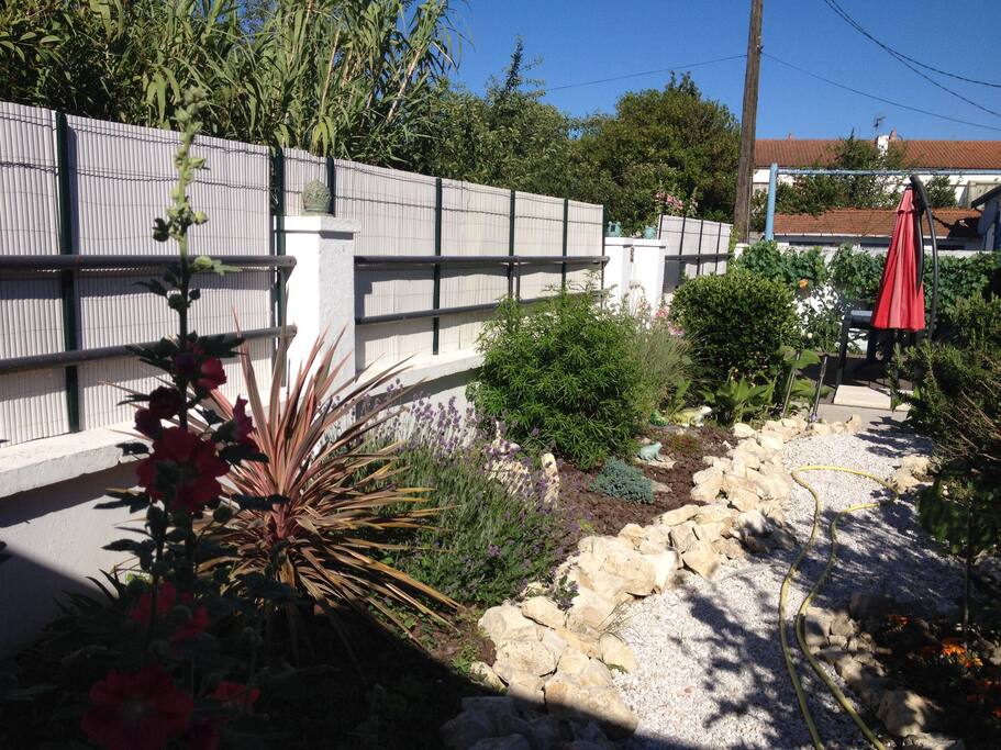 Le jardinet fleuri et ses grenouilles