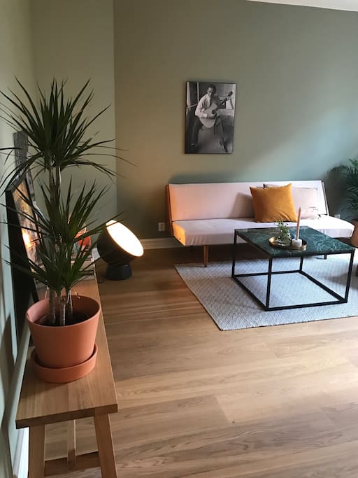 Sleeping couch in the living room for 1-2 people