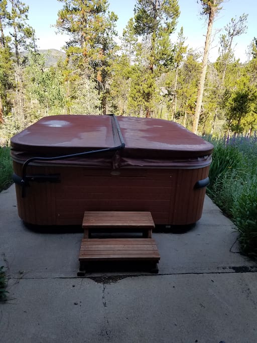 Private hot tub access (newer -awesome jets!)