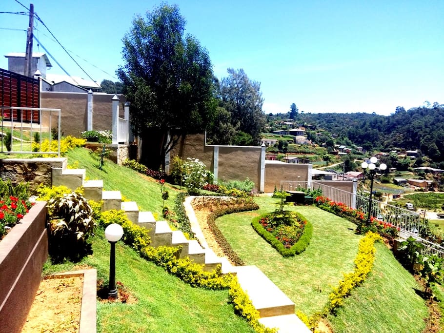 Garden of Glory Bush