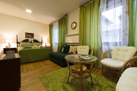 Vratnik Mahala Apartment