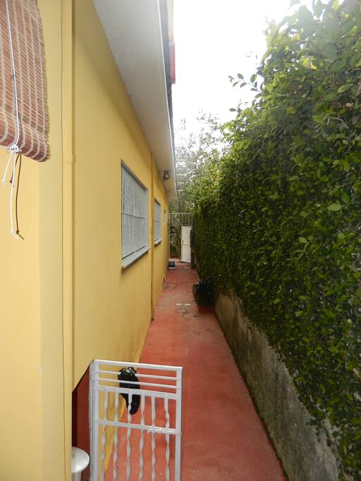 Hallway on the side