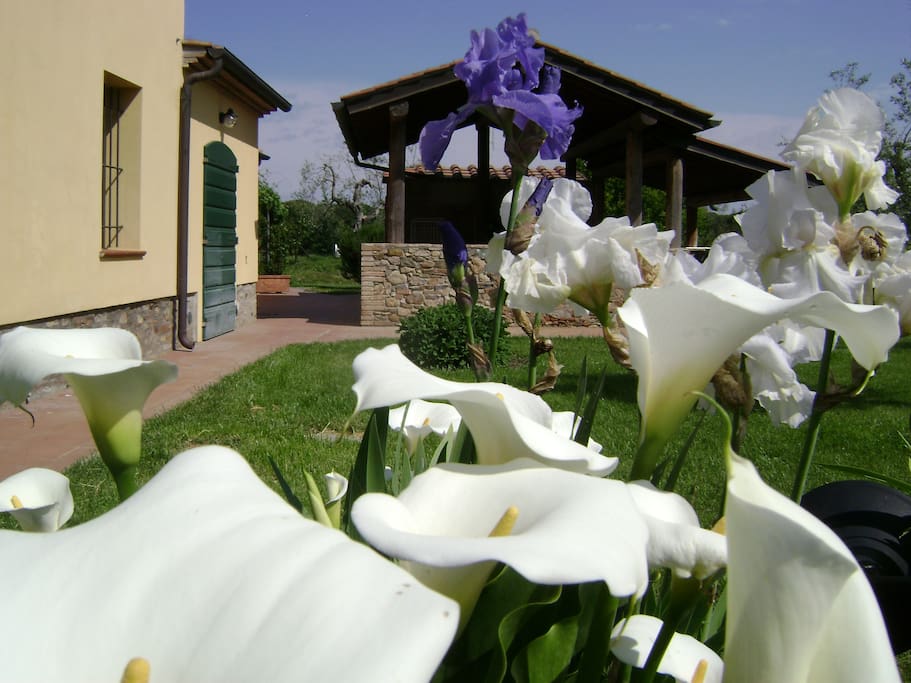 antico fienile
con barbecue vicino