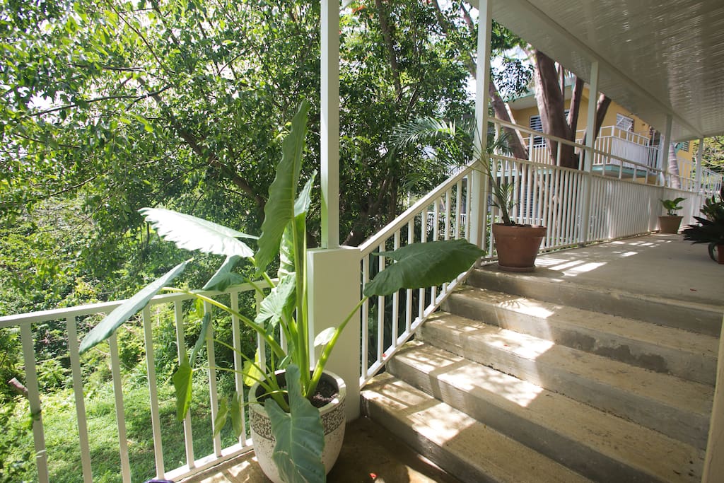 The entry to the property, from the bottom of the driveway.
