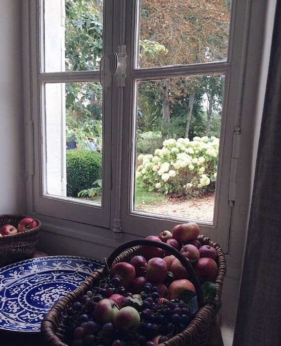 Vue de la cuisine sur le parc.
View of the kitchen on the park.
