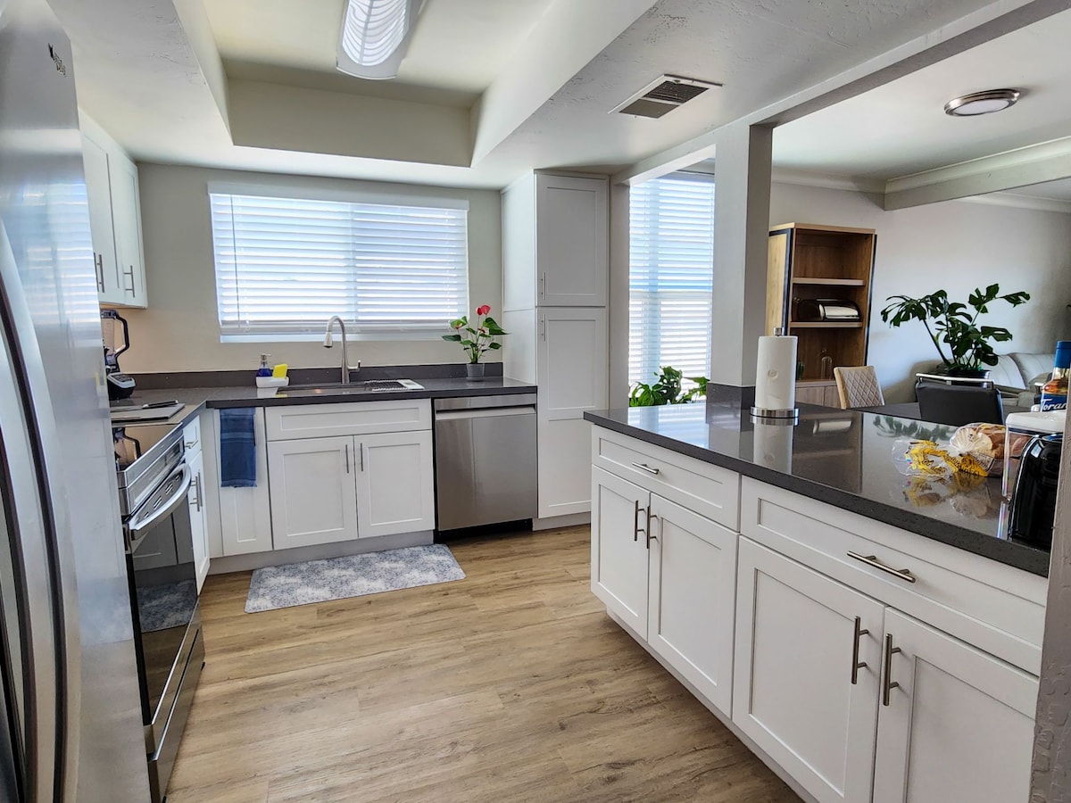 A well-lit kitchen features modern stainless steel appliances and sleek white cabinetry. A large window allows natural light to illuminate the space, while potted plants add a touch of greenery. A gray rug is placed in front of the sink, enhancing the kitchen's functionality.