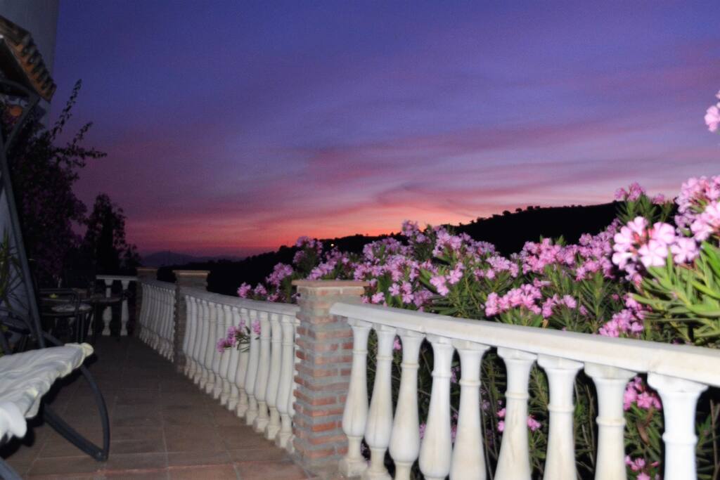 From the terrace
