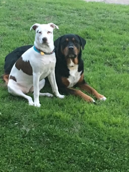 Beau and Cora are great co-hosts