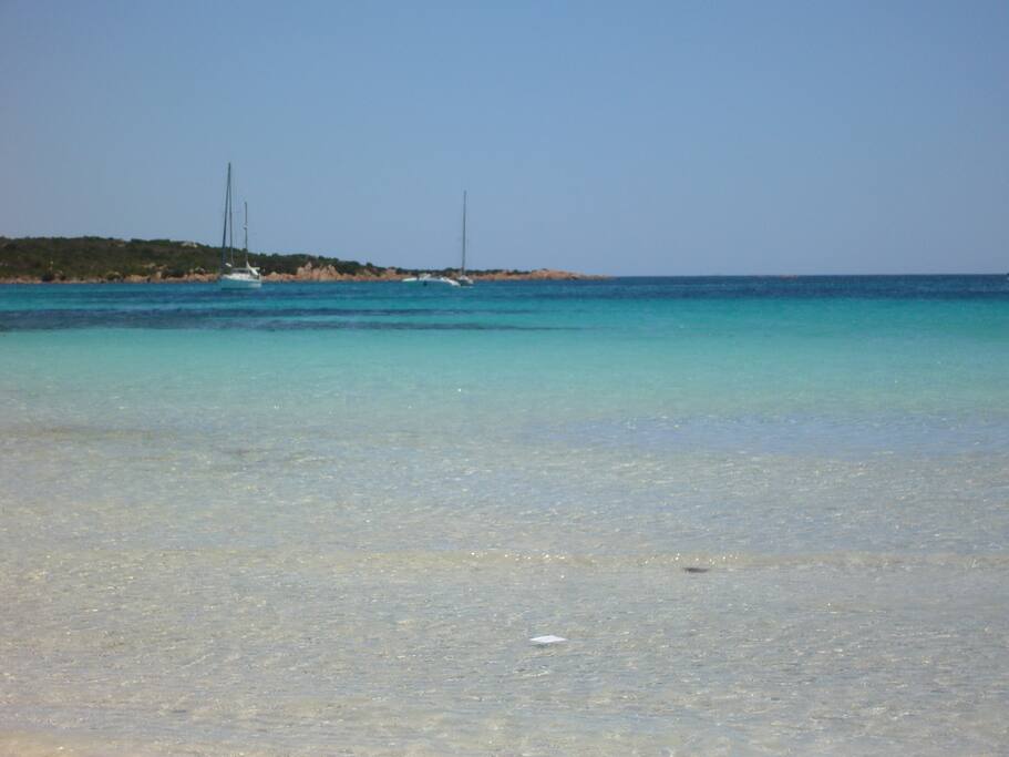 Mare