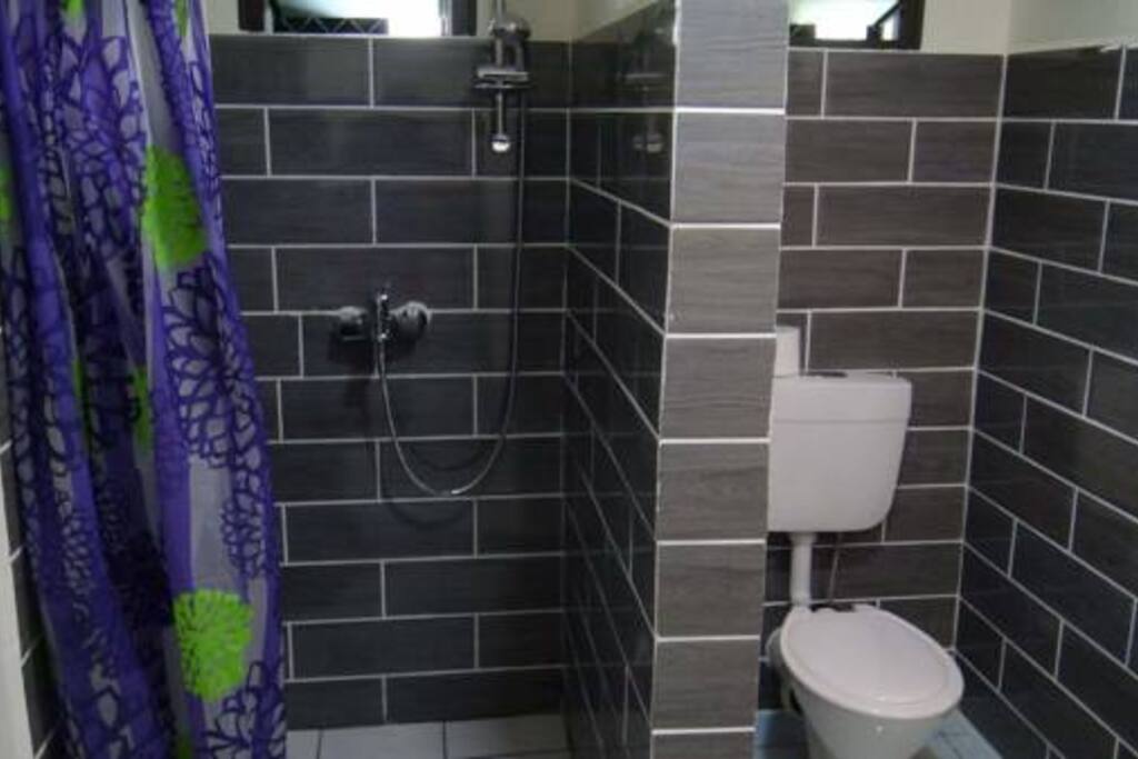 Deluxe Apartment Shower and toilet (hot water system)