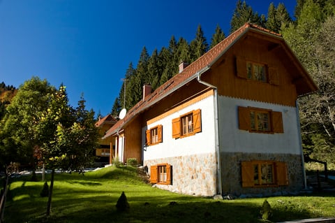 Rogla Dandi Pohorje house 2 – Hidden in the nature