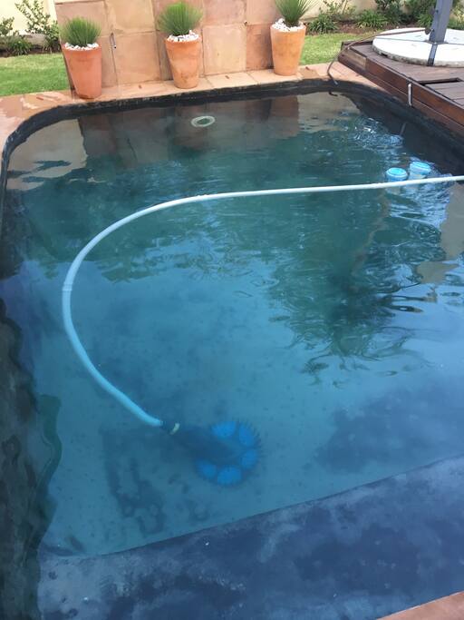 Pool and patio area