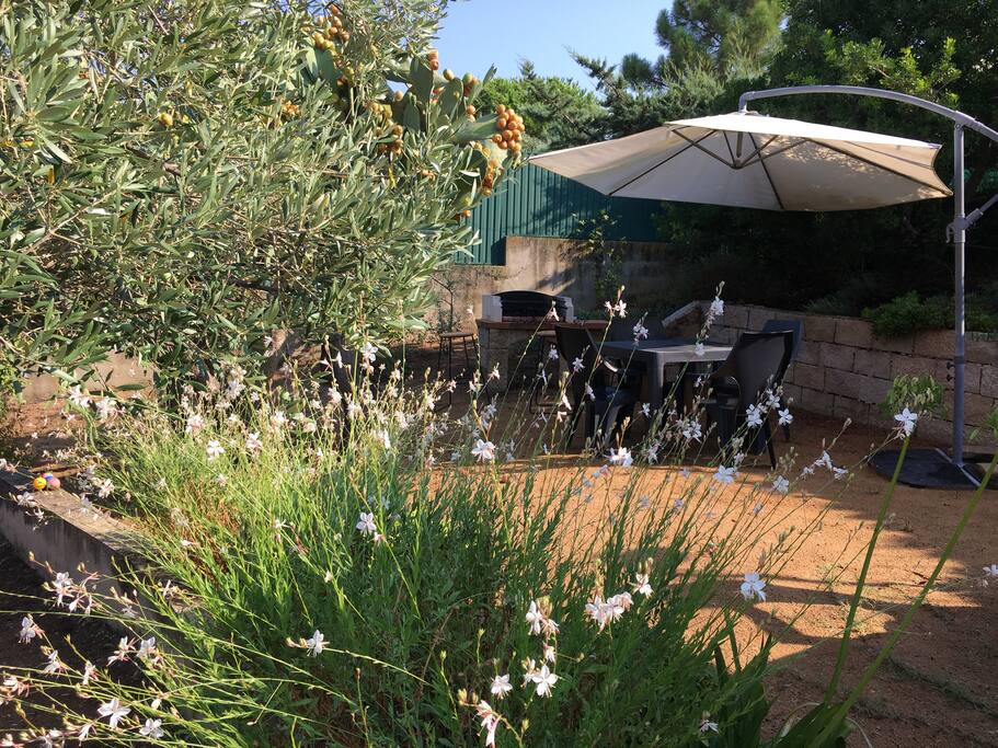 Jardin arrière avec coin barbecue et repas