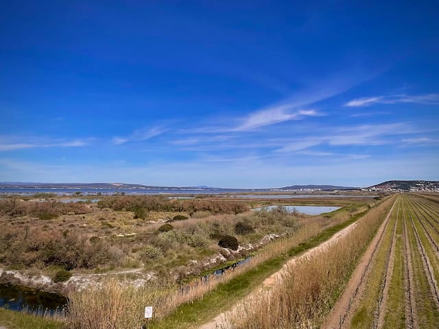 Guest favorite listing in Sete