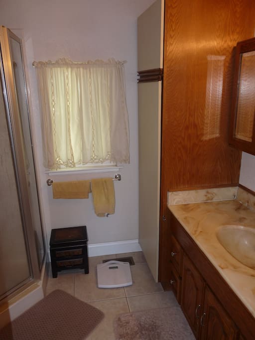 Shared bathroom stand up shower