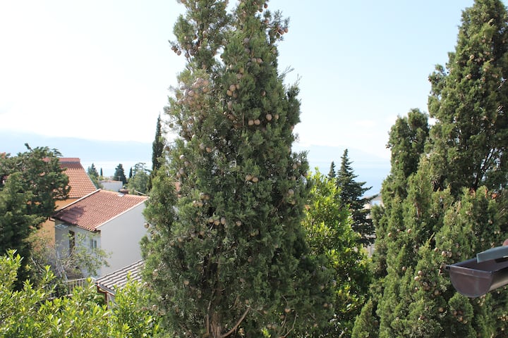 Apartment F (2+1) - Novi Vinodolski