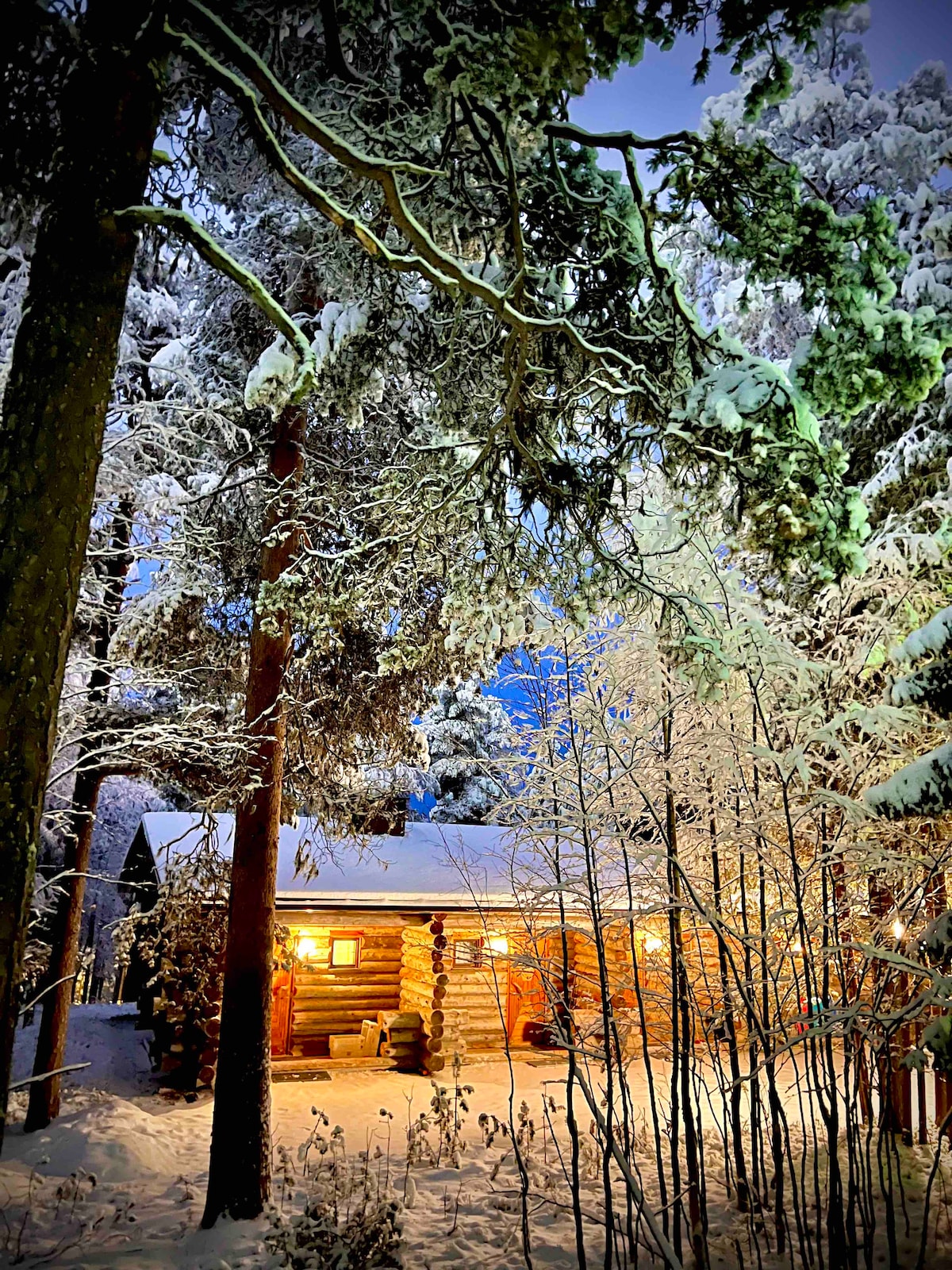 A cozy log cabin is nestled among snow-covered trees, illuminated by soft, warm light from the windows. The surrounding landscape features a blanket of fresh snow, creating a serene winter atmosphere. Tall evergreens frame the cabin, enhancing its secluded feel.