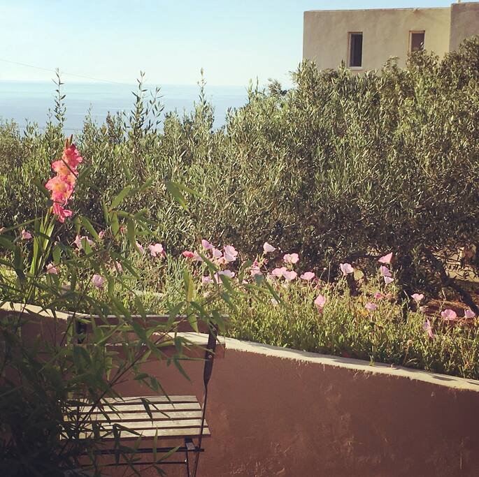 view from the balcony