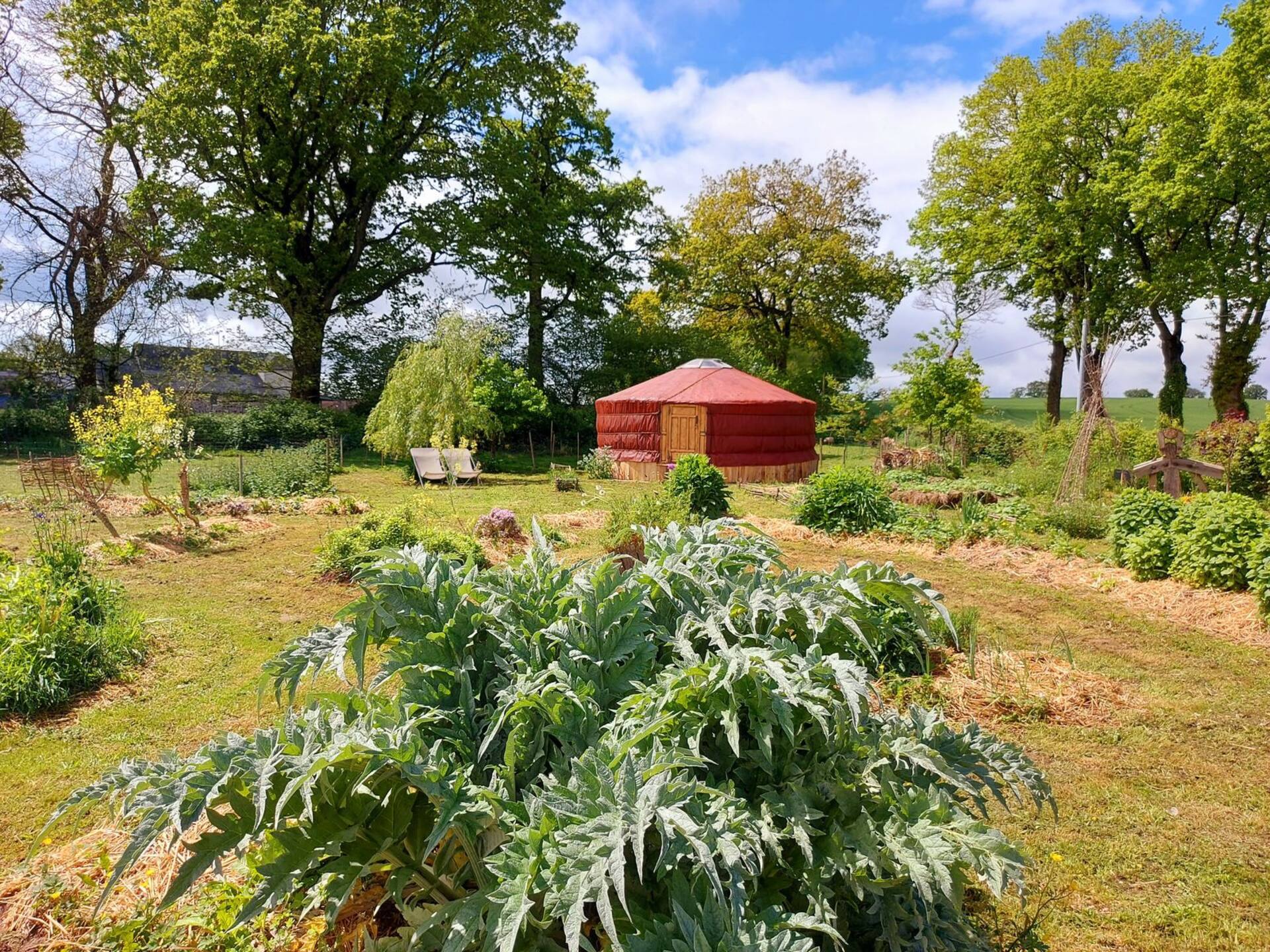 Lovely yurt in the countryside