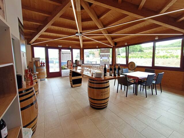 Entre viñedos cn piscina en bodega d Rioja gallery image 5