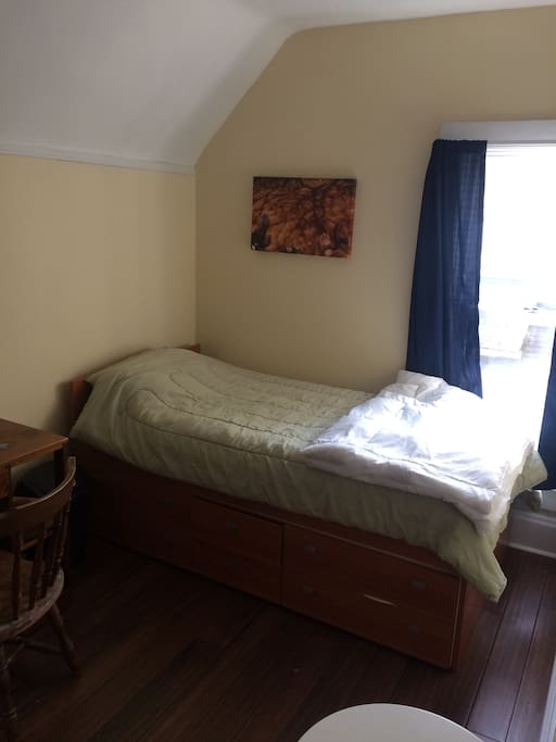 Guest bedroom #2: Twin bed, larger closet and desk.
