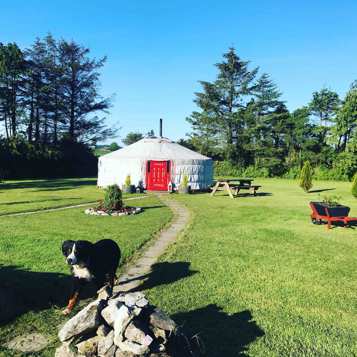 A handcrafted yurt is situated in a lush garden, featuring a vibrant red entrance. A well-maintained path winds through the manicured lawn, leading to the yurt. In the foreground, a friendly dog stands near a fire pit, adding to the serene rural ambiance.
