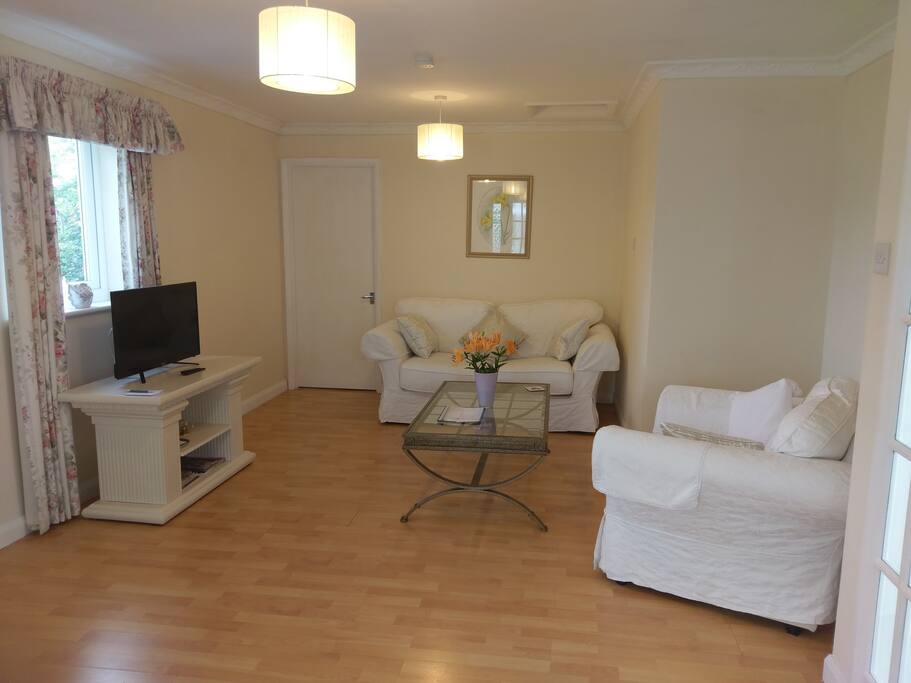 Lounge & TV area