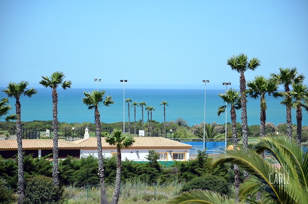 A scenic view features lush palm trees in the foreground, framing a vista of the ocean beyond. In the distance, a community area with tennis courts and a building is visible, against a backdrop of clear blue skies and calm waters.