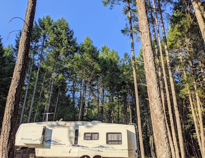 Merlin Vacation Rentals Airbnb