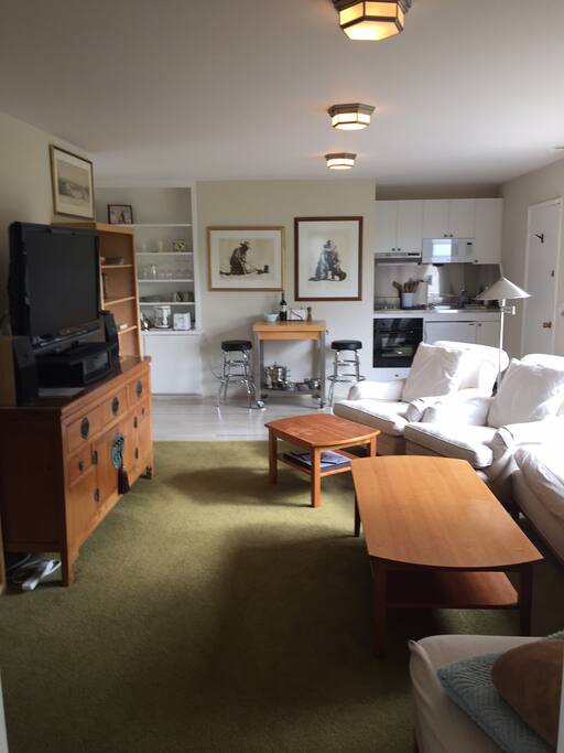 living space with TV