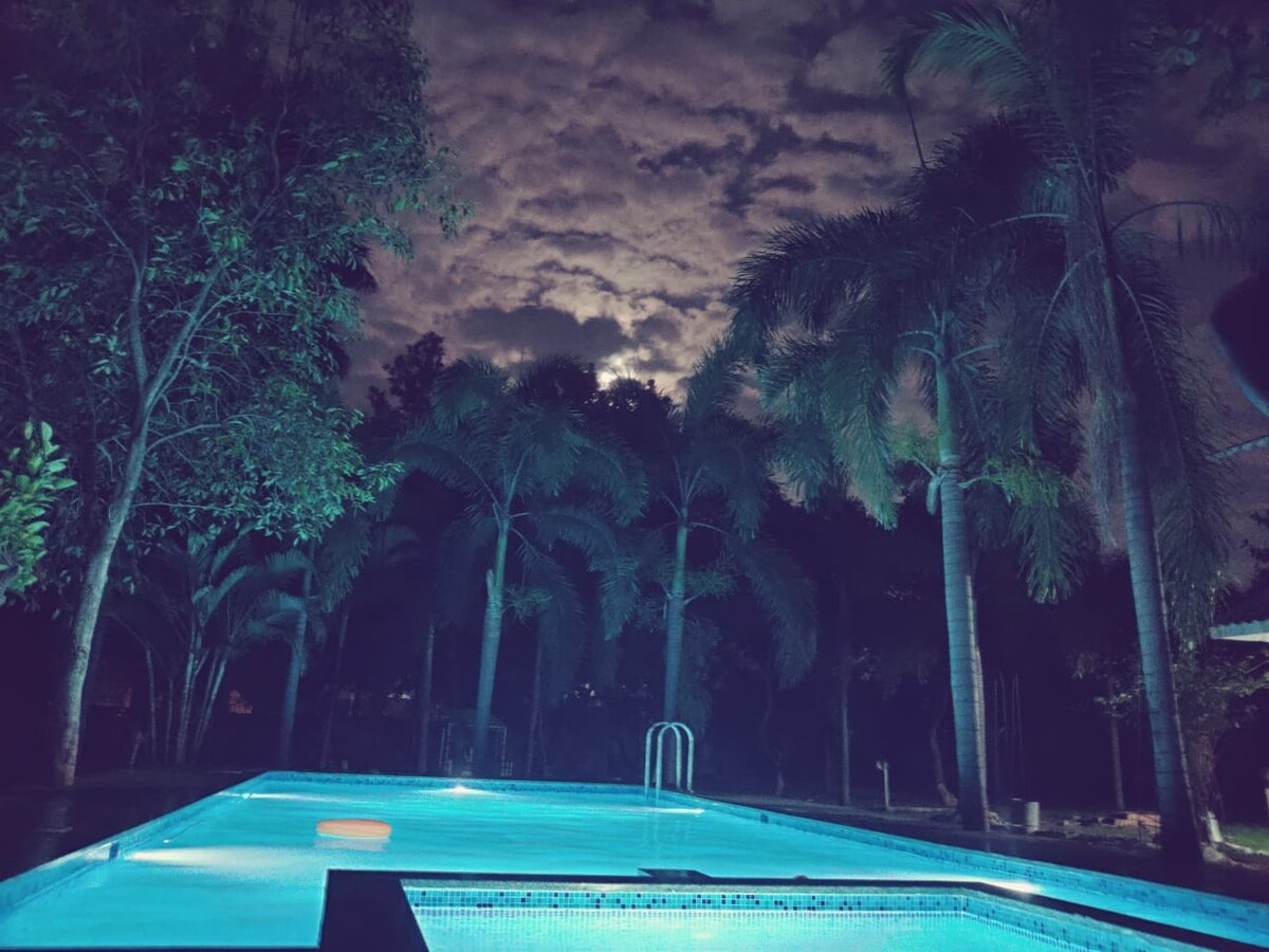 A serene swimming pool is illuminated under the evening sky, surrounded by tall palm trees. Soft blue light reflects off the water's surface, and fluffy clouds are visible above, creating a tranquil atmosphere.