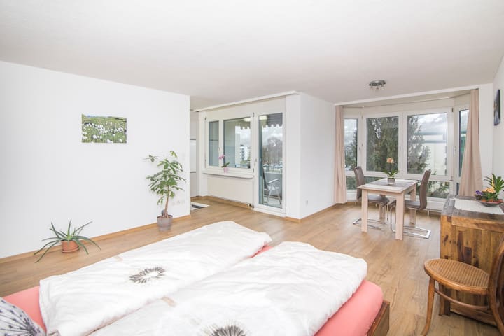 Central 1.5 room flat in Sargans