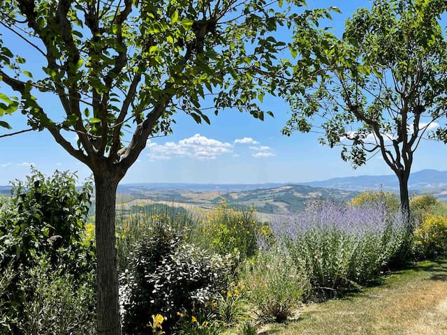 listing_image