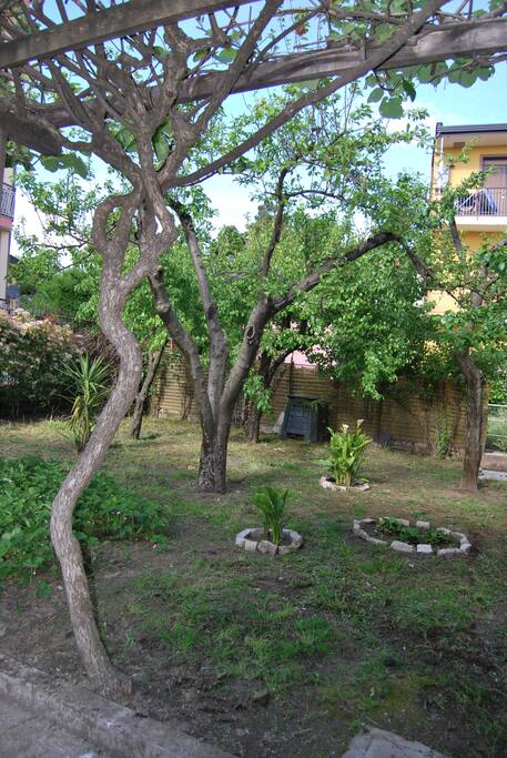 Il nostro giardino dove poter trascorrere momenti di relax